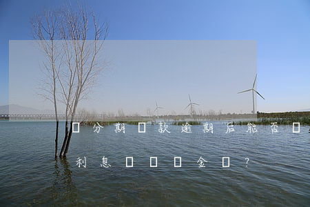來分期貸款逾期后能否減免？包括利息與違約金嗎？